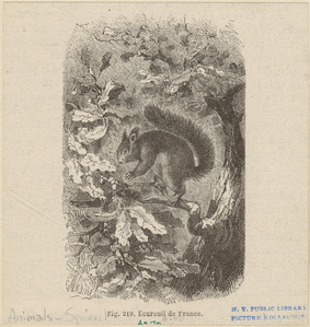 Image ID 823678