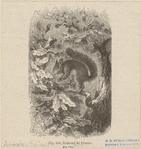 Image ID 823678