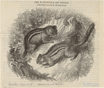 Image ID 823681