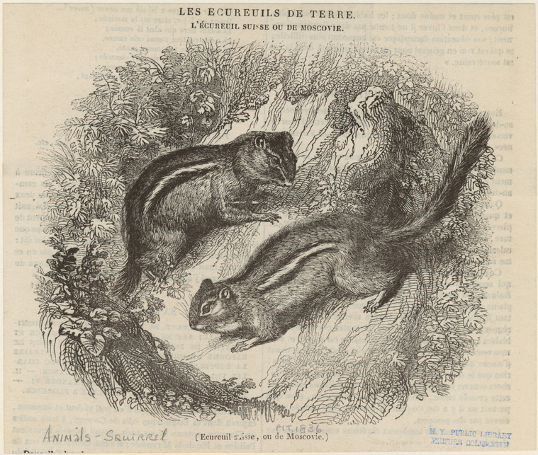 Image ID 823681
