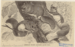 Image ID 823683