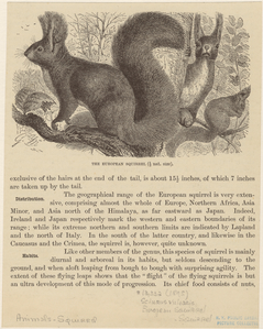 Image ID 823685
