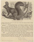 Image ID 823685