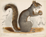 Image ID 823686