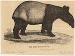 Image ID 823688