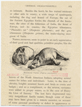 Image ID 823692