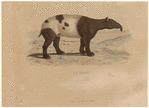 Image ID 823694