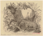 Image ID 823695