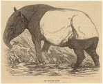 Image ID 823697