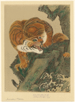 Image ID 823703