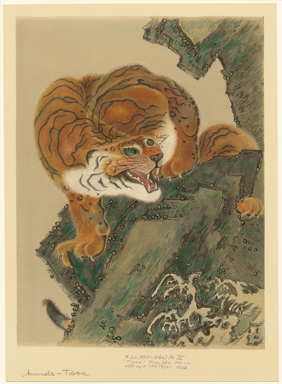 Image ID 823703

