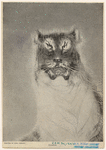 Image ID 823704