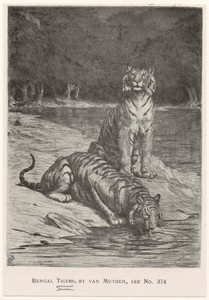 Image ID 823710