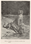 Image ID 823710