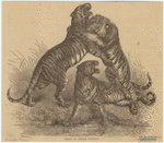 Image ID 823712