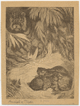 Image ID 823713