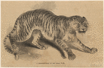 Image ID 823714