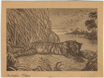 Image ID 823716