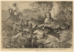 Image ID 823723