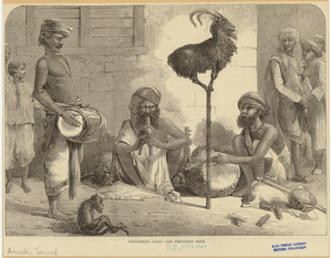 Image ID 823733