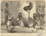Image ID 823733