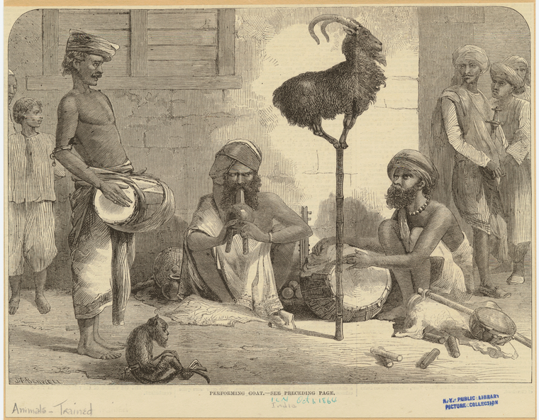 Image ID 823733

