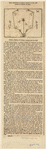Image ID 823740
