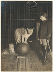 Image ID 823742