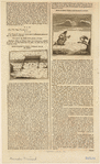 Image ID 823745