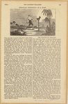 Image ID 823746