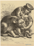Image ID 823748