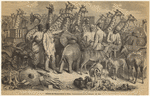 Image ID 823753