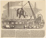 Image ID 823754