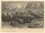 Image ID 823760