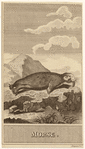 Image ID 823767