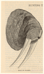 Image ID 823768