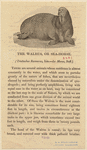 Image ID 823769