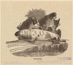 Image ID 823771