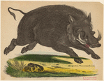 Image ID 823776