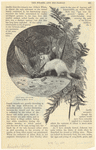 Image ID 823777