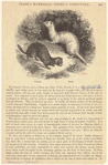 Image ID 823780