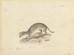 Image ID 823785