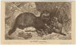 Image ID 823788