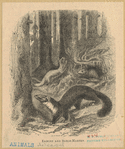 Image ID 823789