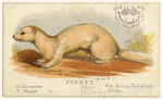 Image ID 823790
