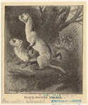 Image ID 823791