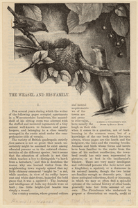 Image ID 823794