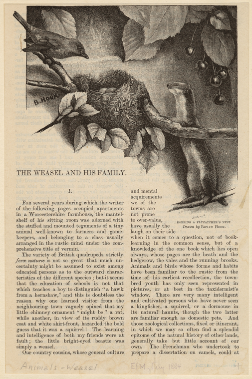Image ID 823794
