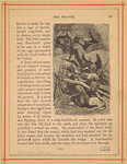 Image ID 823795