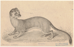 Image ID 823796